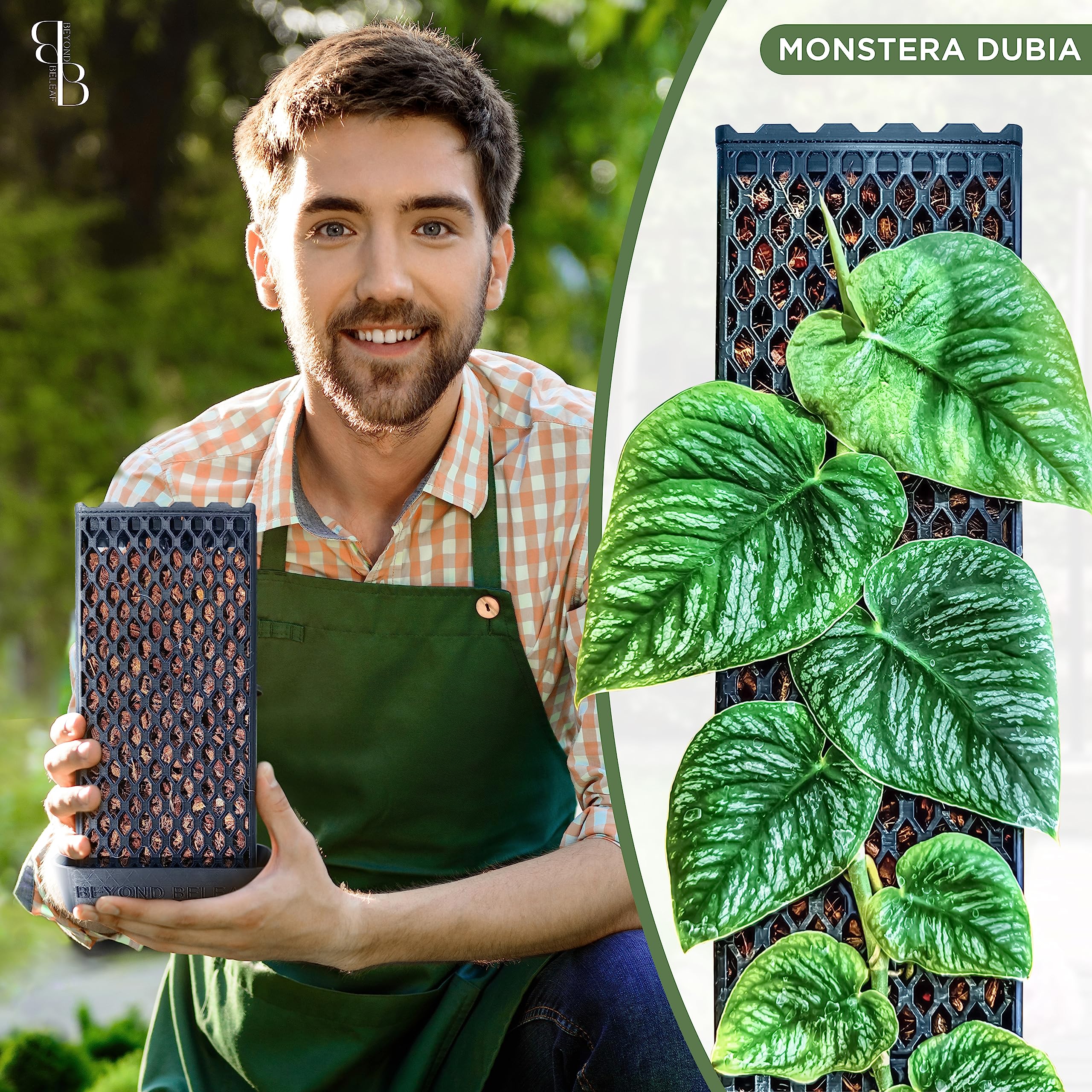 Amazon.com : Self-Watering Plant Support Board for Plants to Climb